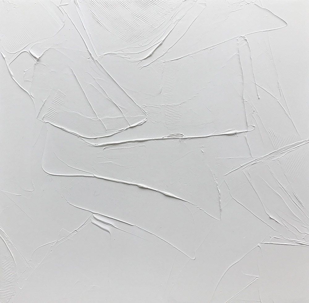 Hidden Fields#2_40x40cm_2019